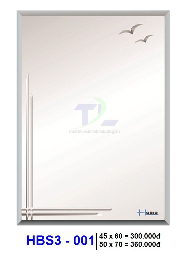 Gương soi phòng tắm HOBIG HBS3-001